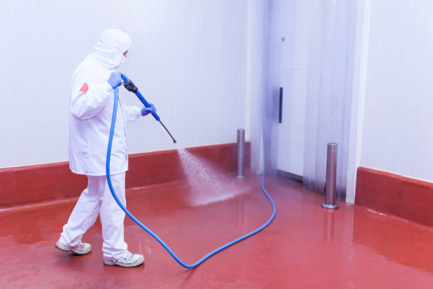 Best Pre-Holiday Cleaning  in Platteville, WI